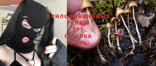 эйфоретик Алексеевка