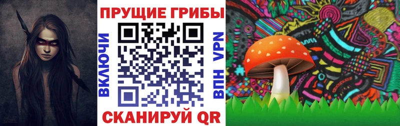 дарнет шоп  Жиздра  Галлюциногенные грибы Psilocybe 